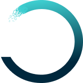 logo nvsp