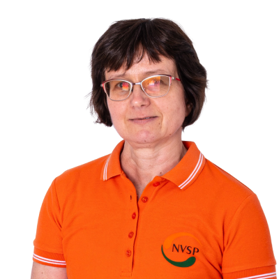 NVSP-medailonky-26-removebg-1